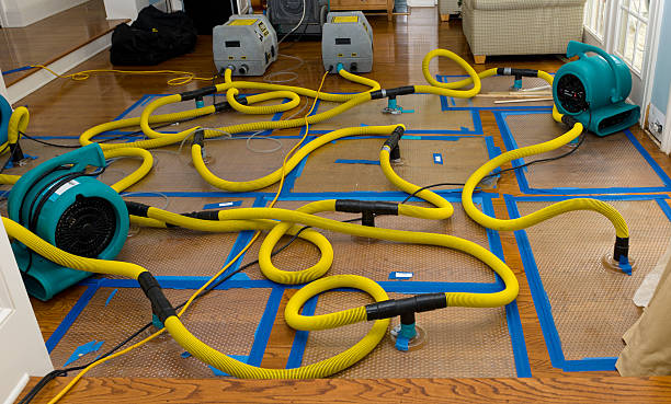 Professional Burst Pipe Water Damage technician working in Bruceton Mills, WV